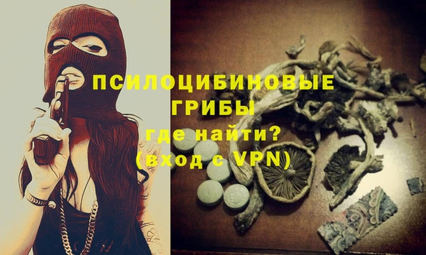 тгк Алзамай