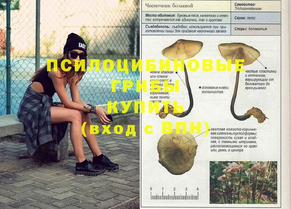 амф Абинск