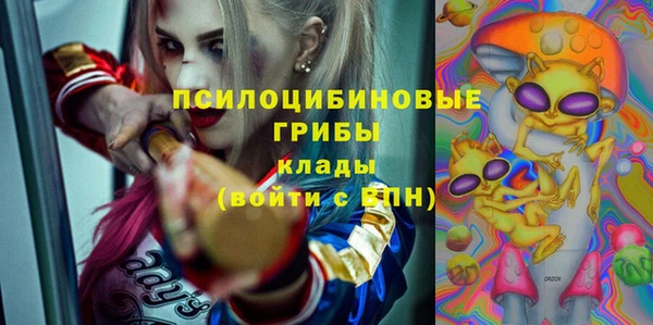 ешки Алексеевка
