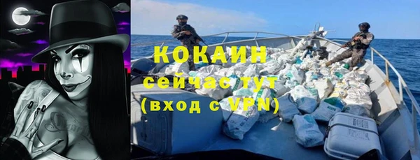 тгк Алзамай